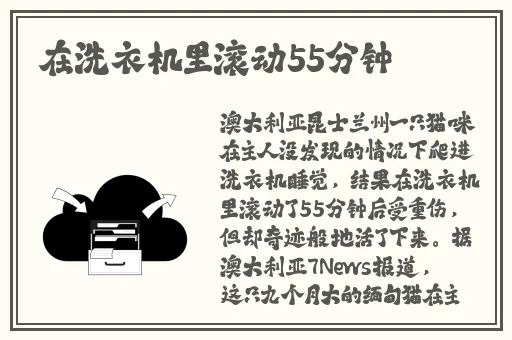 大狙擦大雷图片